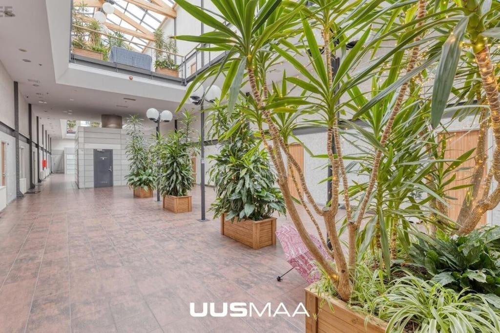 Charming Loft Near Old Town Daire Tallinn Dış mekan fotoğraf